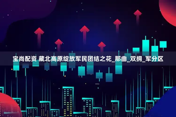 宝尚配资 藏北高原绽放军民团结之花_那曲_双拥_军分区