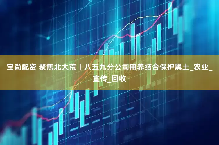 宝尚配资 聚焦北大荒丨八五九分公司用养结合保护黑土_农业_宣传_回收