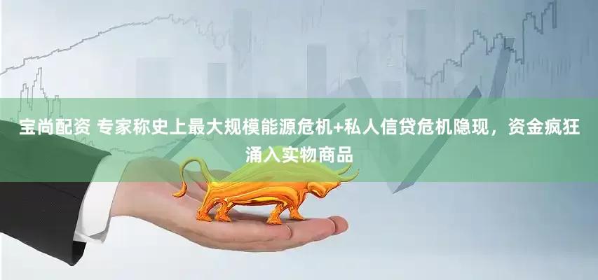 宝尚配资 专家称史上最大规模能源危机+私人信贷危机隐现，资金疯狂涌入实物商品